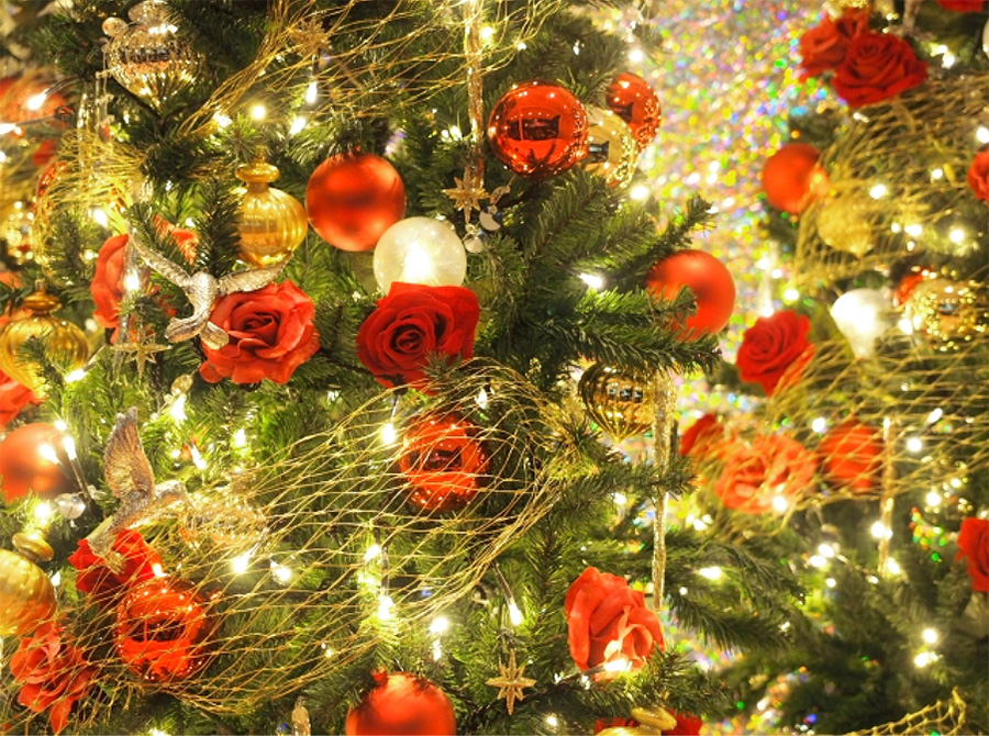 女性にクリスマスプレゼントを贈るときの予算は?